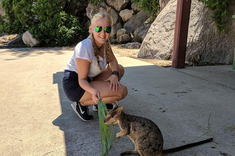 Magnetic Island Tour: Maggie Comprehensive - Accommodation Rockhampton 2