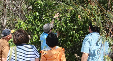 Magnetic Island Tour: Maggie Comprehensive - Accommodation Rockhampton 4