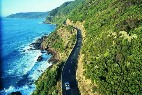 Melbourne Super Saver: Great Ocean Road + Mornington Peninsula + Attraction Pass - Accommodation Rockhampton 0