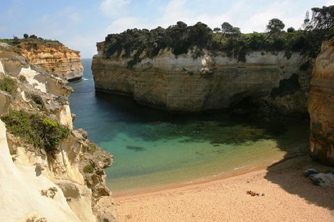 Melbourne Super Saver: Great Ocean Road + Mornington Peninsula + Attraction Pass - Accommodation Rockhampton 3