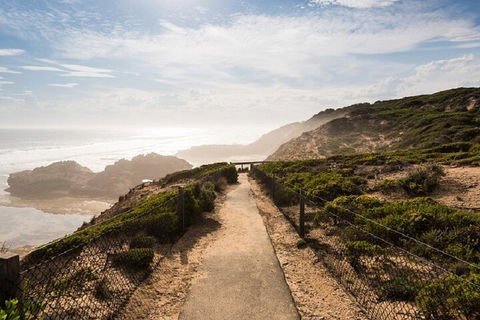 Melbourne Super Saver: Great Ocean Road + Mornington Peninsula + Attraction Pass - Accommodation Rockhampton 4