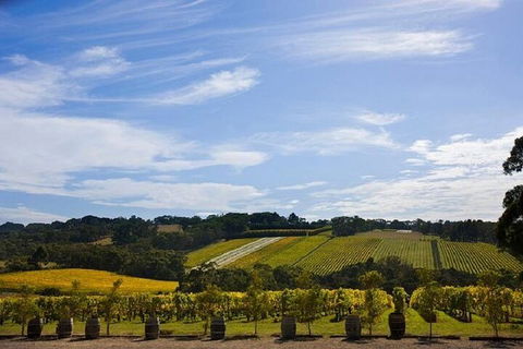 Melbourne Super Saver: Great Ocean Road + Mornington Peninsula + Attraction Pass - Accommodation Rockhampton 5