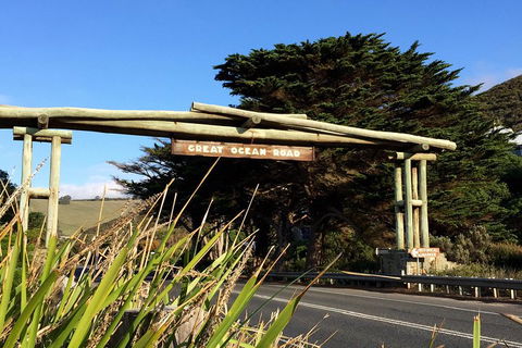 Melbourne Super Saver: Great Ocean Road + Wilsons Promontory + Attraction Pass - Accommodation Rockhampton 1