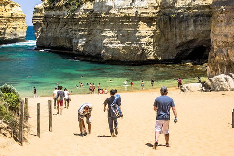 Small-Group Great Ocean Road Classic Day Tour From Melbourne - Accommodation Rockhampton 5