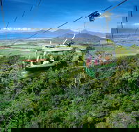 Best of Kuranda Including Skyrail Kuranda Scenic Railway and Rainforestation - Accommodation Rockhampton