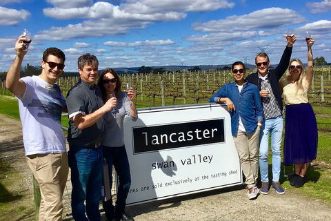Swan Valley Tour From Perth: Wine, Beer And Chocolate Tastings - Accommodation Rockhampton 1