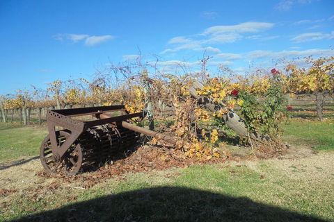 Swan Valley Tour From Perth: Wine, Beer And Chocolate Tastings - Accommodation Rockhampton 3