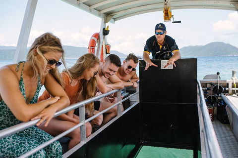 Fitzroy Island Day Trip From Cairns - Accommodation Rockhampton 4