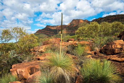 6-Day Eyre Peninsula & Flinders Ranges Adventure Tour - Accommodation Rockhampton 1
