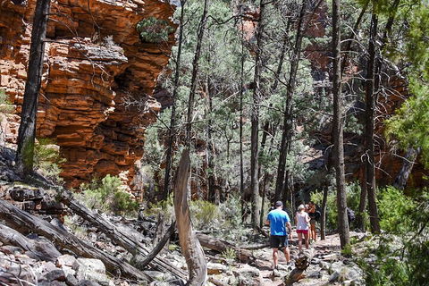 6-Day Eyre Peninsula & Flinders Ranges Adventure Tour - Accommodation Rockhampton 5