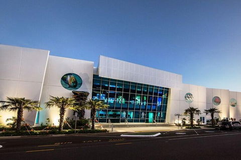 Cairns Aquarium Admission Ticket - Accommodation Rockhampton 4