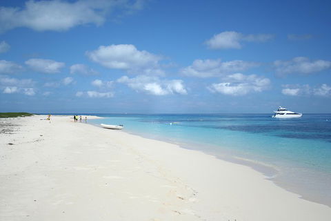 Seastar Luxury Outer Great Barrier Reef Island And Reef Tour From Cairns - Accommodation Rockhampton 3