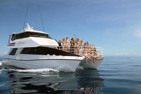 Seastar Luxury Outer Great Barrier Reef Island And Reef Tour From Cairns - Accommodation Rockhampton 4