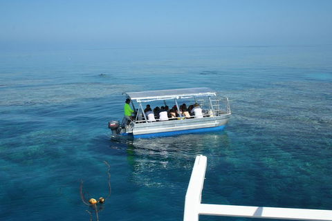 Seastar Luxury Outer Great Barrier Reef Island And Reef Tour From Cairns - Accommodation Rockhampton 5
