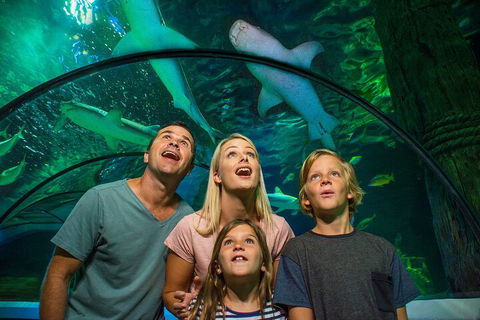 SEA LIFE Sunshine Coast Aquarium Entrance Ticket - Accommodation Rockhampton 3