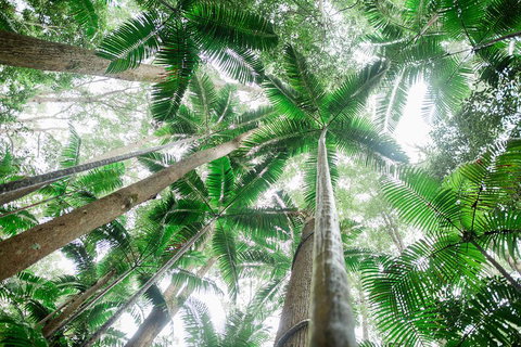 Fraser Explorer K'gari 2-Day Tour - Accommodation Rockhampton 2