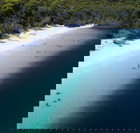 All-Inclusive Fraser Island Day Tour - Accommodation Rockhampton
