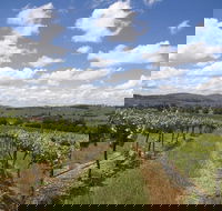 Hunter Valley Wine Tour from Sydney incl Lunch Cheese Chocolate and Distillery - Accommodation Rockhampton