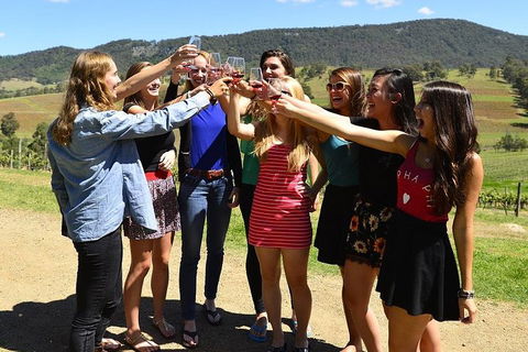 Hunter Valley Wine Tour From Sydney Incl Lunch, Cheese, Chocolate And Distillery - Accommodation Rockhampton 3