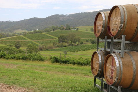 Hunter Valley Wine Tour From Sydney Incl Lunch, Cheese, Chocolate And Distillery - Accommodation Rockhampton 5