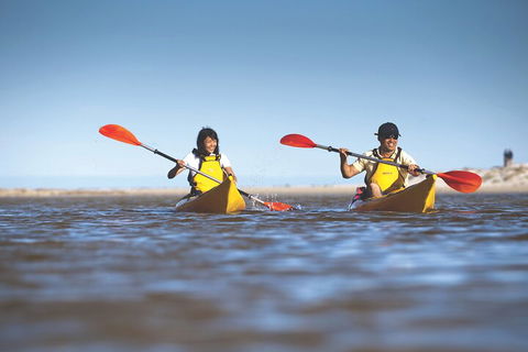 Kangaroo Island Self-Guided Kayaking On The Harriet River - Accommodation Rockhampton 2