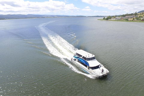 2.5 Hour Morning Discovery Cruise Including Sailing Into The Cataract Gorge - Accommodation Rockhampton 2