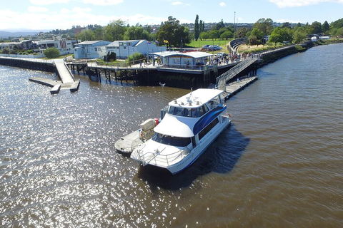 2.5 Hour Morning Discovery Cruise Including Sailing Into The Cataract Gorge - Accommodation Rockhampton 3