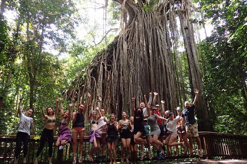 Atherton Tablelands Waterfalls Tour From Cairns - Accommodation Rockhampton 5