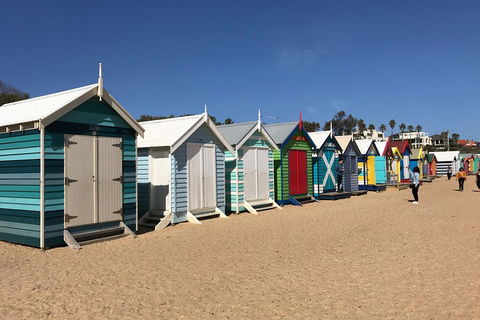 Phillip Island Penguin Parade, Brighton Bathing Boxes And Wildlife Park Tour - Accommodation Rockhampton 3