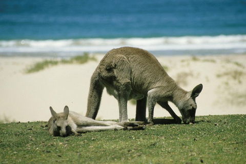 Great Ocean Road Full Coastal Tour - 3 Days, 2 Nights - Accommodation Rockhampton 1