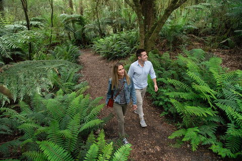 Great Ocean Road Full Coastal Tour - 3 Days, 2 Nights - Accommodation Rockhampton 4