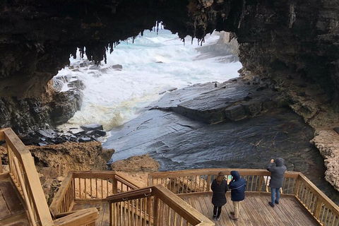 Kangaroo Island 4WD Tour - Best Of KI - Accommodation Rockhampton 1