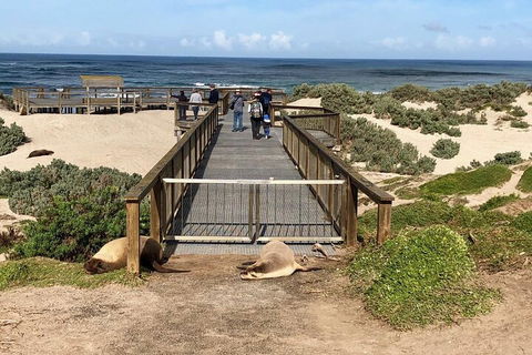 Kangaroo Island 4WD Tour - Best Of KI - Accommodation Rockhampton 2