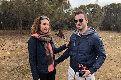 Kangaroo Island 4WD Tour - Best Of KI - Accommodation Rockhampton 3